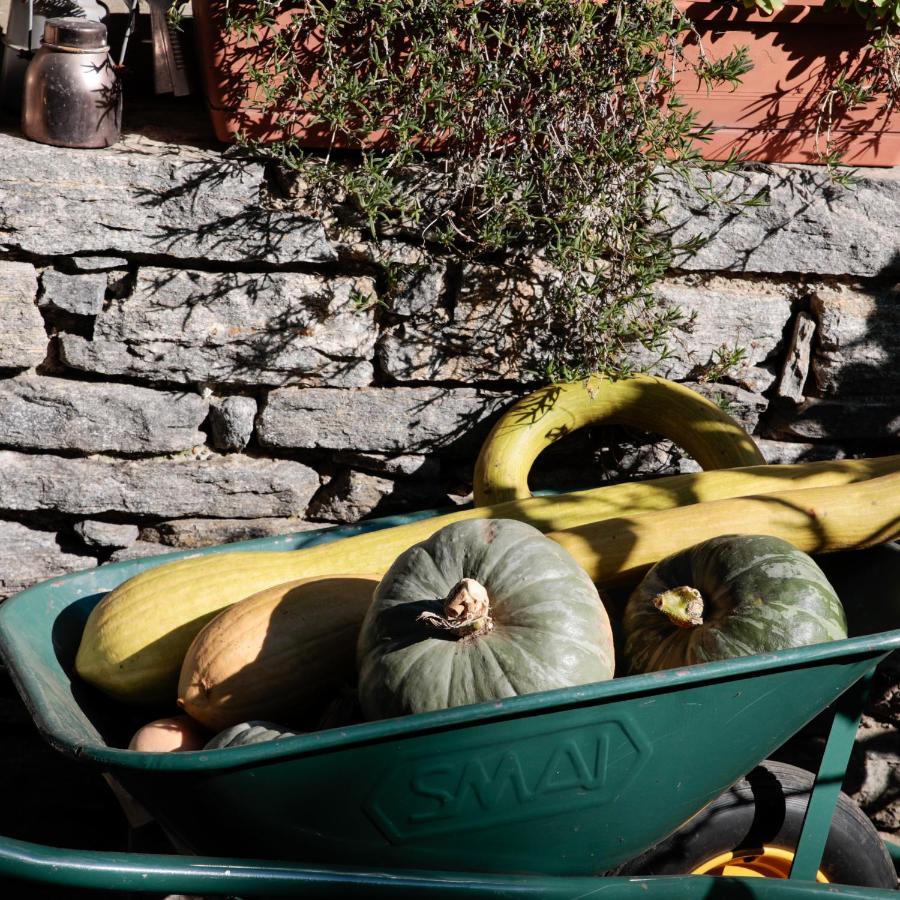 B&B Villa Moro - Family House Domodossola Exterior foto